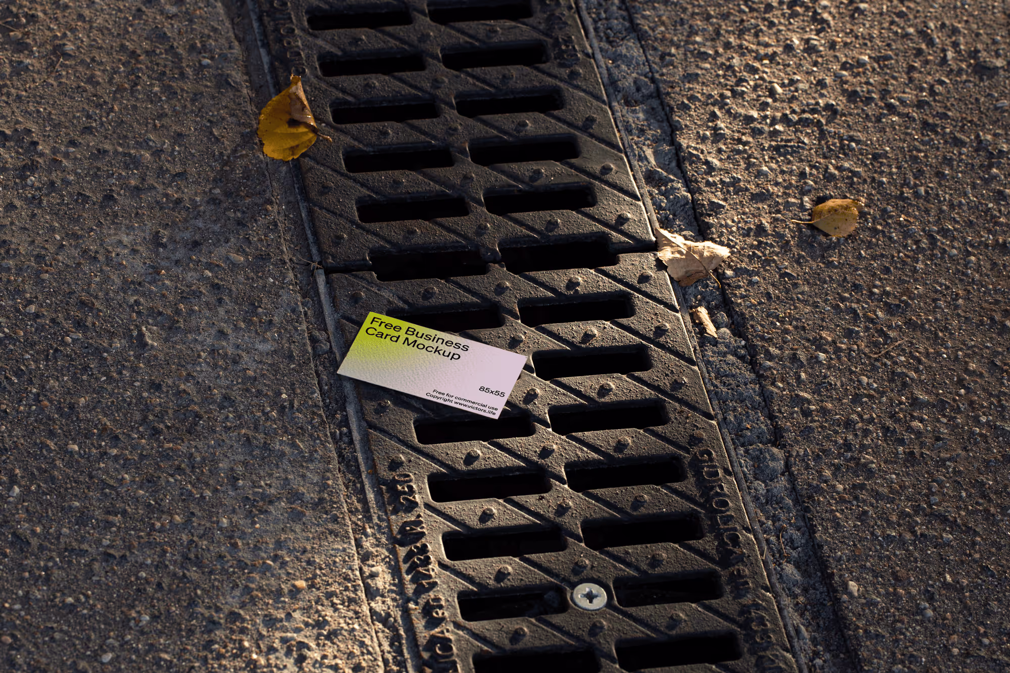 Business Card 005