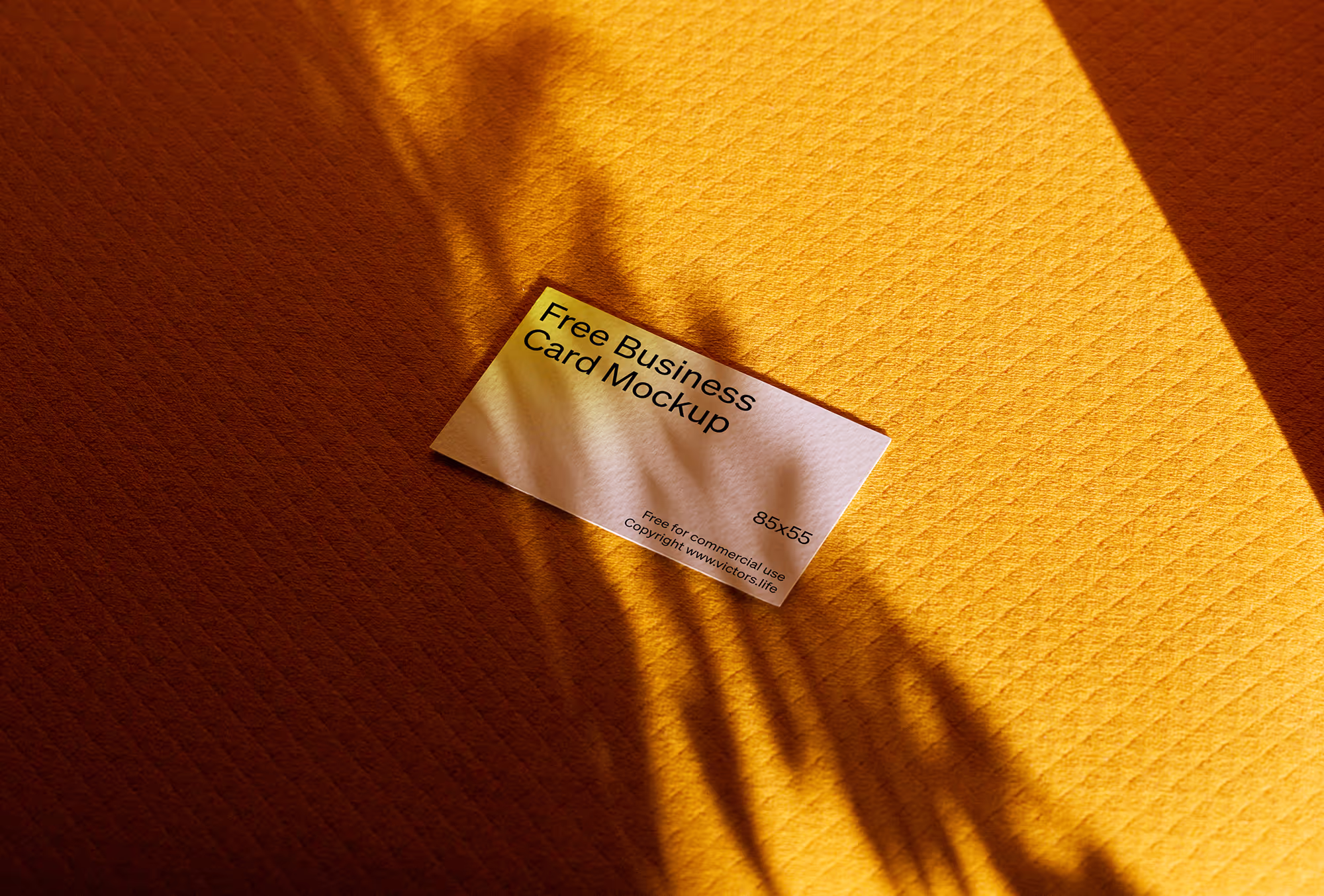 Business Card 008